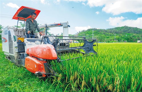 全球連線 相約消博會(huì) 高性能混凝土減水劑生產(chǎn)的創(chuàng)新與未來(lái)